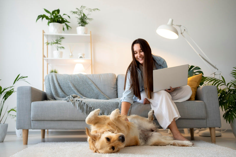 PET-FRIENDLY HOME DESIGN: CREATING A SAFE AND COMFORTABLE SPACE FOR YOUR PET"