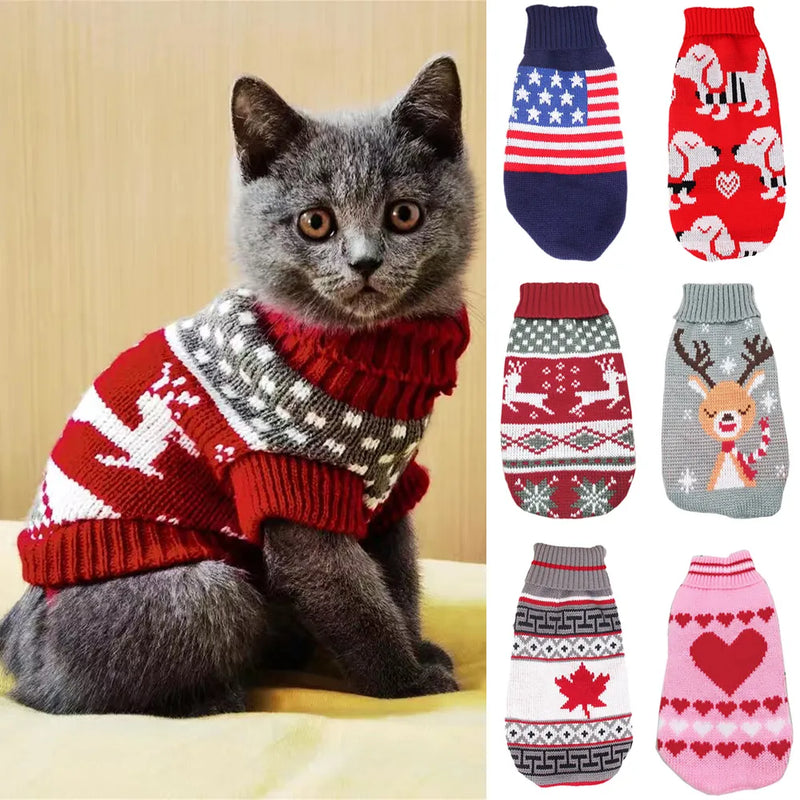 Cute Cat Sweater Costume