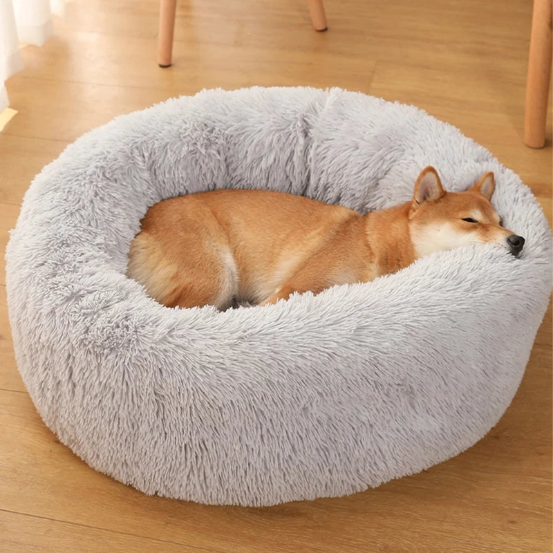 MADDEN Round Dog Bed