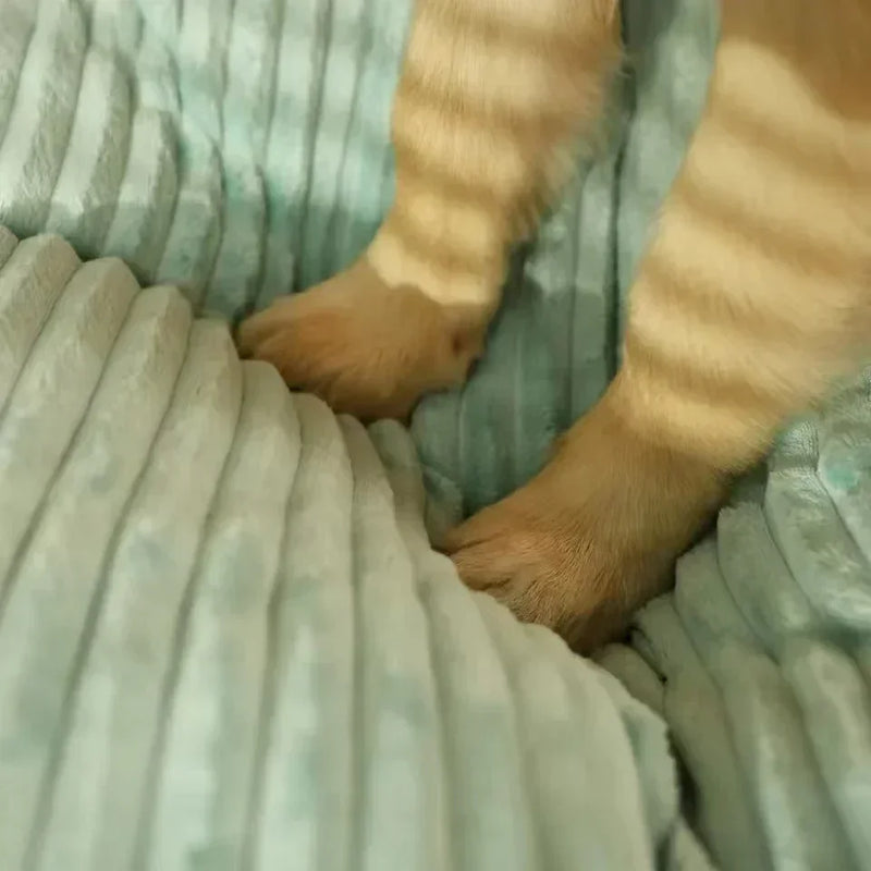 Dog Thick Deep Sleep Cushion
