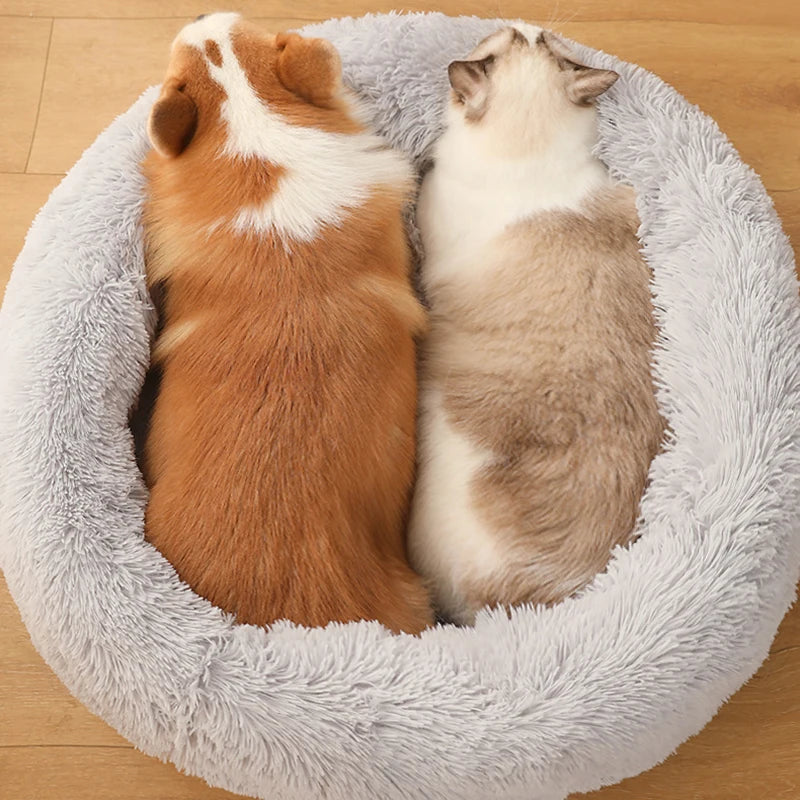 MADDEN Round Dog Bed
