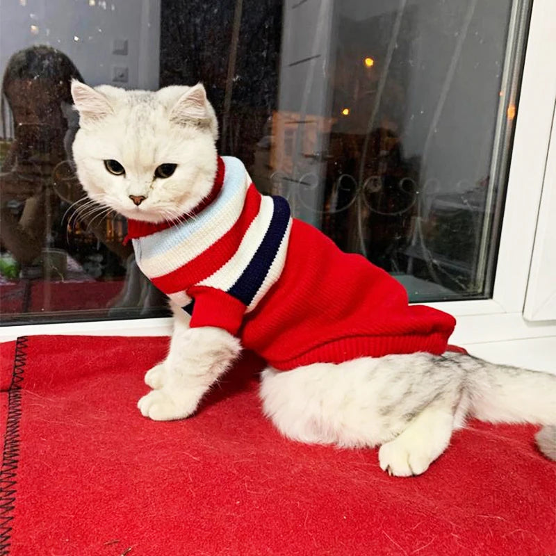 Winter Christmas Cats Sweater