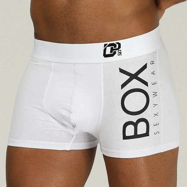 Sexy Underwear Male Panties