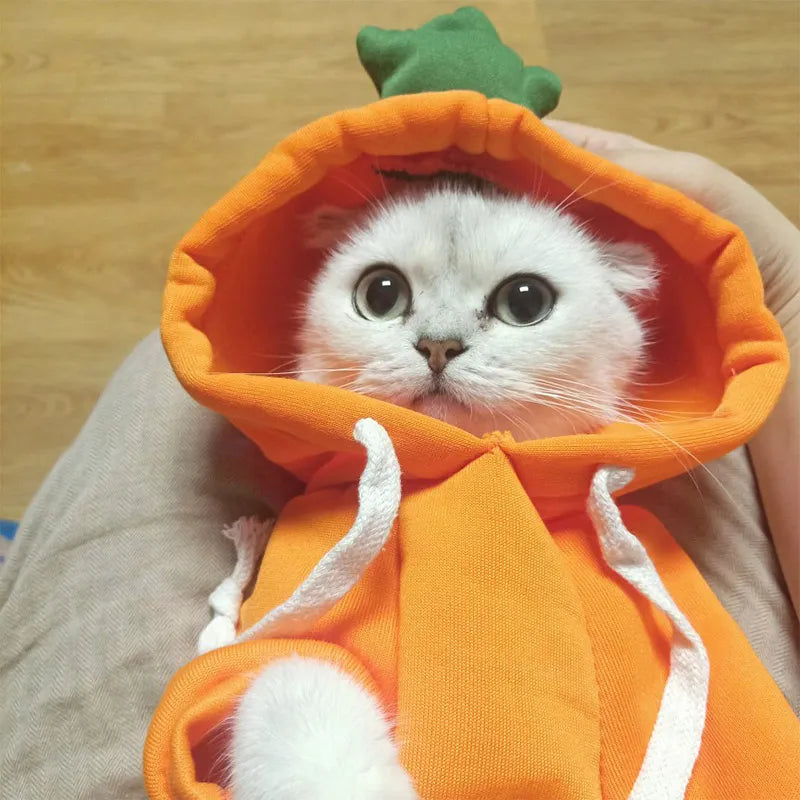Cute Dog cat Coat Hoodies