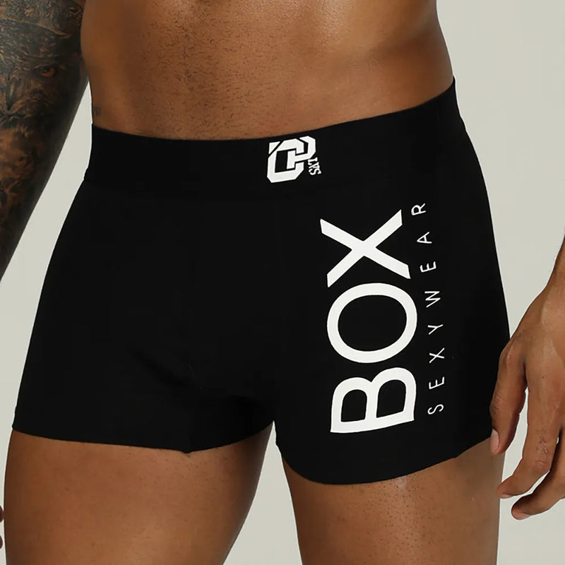 Sexy Underwear Male Panties