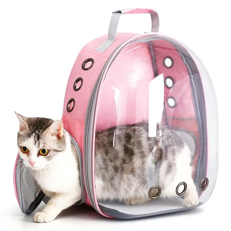 Cat Carrier Backpack Transparent