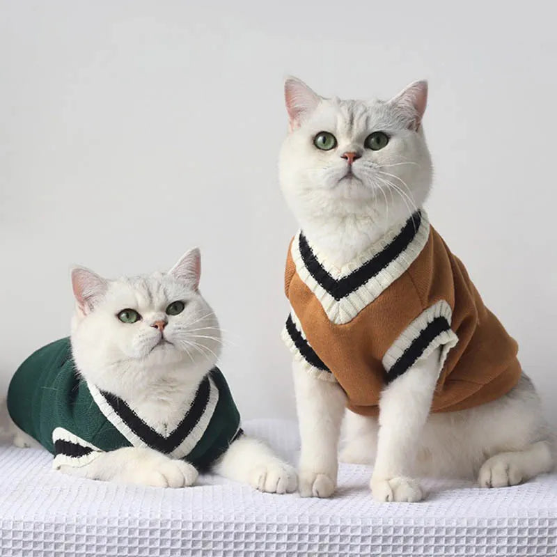 Cat Dog Sweater Pullover