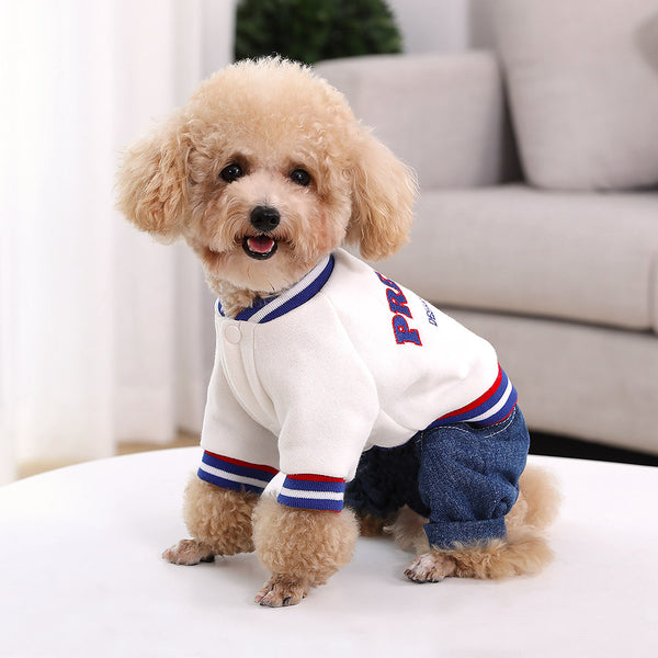 Autumn Clothing For Small Dog Four-legged Pets
